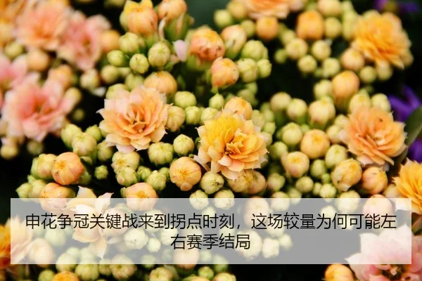img_1783320701950_264_1_391.jpg
